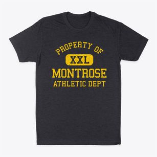 Montrose Arkansas Athletic Dept Classic Dad T-Shirt