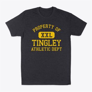 Tingley Iowa Athletic Dept Classic Dad T-Shirt