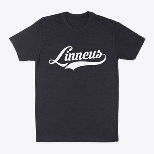 Linneus Missouri Vintage Team Classic Dad T-Shirt