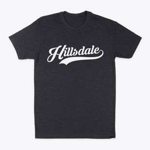 Hillsdale Michigan Vintage Team Classic Dad T-Shirt