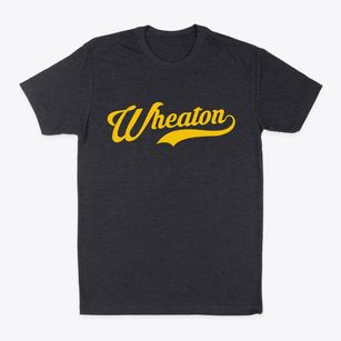 Wheaton Illinois Vintage Team Classic Dad T-Shirt