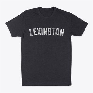 Lexington Ohio Timeless Retro Classic Dad T-Shirt