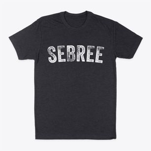 Sebree Kentucky Timeless Retro Classic Dad T-Shirt