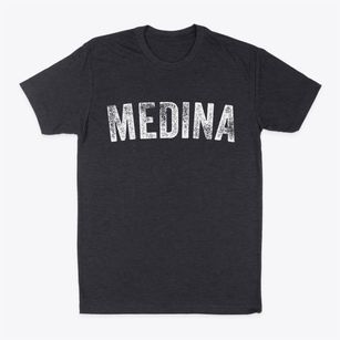 Medina Wisconsin Timeless Retro Classic Dad T-Shirt