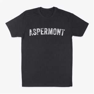 Aspermont Texas Timeless Retro Classic Dad T-Shirt
