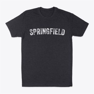 Springfield Illinois Timeless Retro Classic Dad T-Shirt
