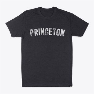 Princeton Indiana Timeless Retro Classic Dad T-Shirt
