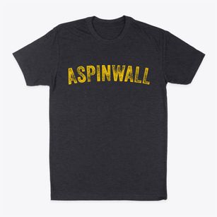Aspinwall Pennsylvania Timeless Retro Classic Dad T-Shirt