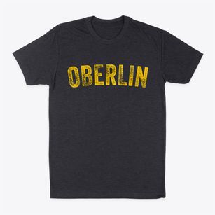 Oberlin Pennsylvania Timeless Retro Classic Dad T-Shirt