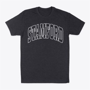 Stamford Connecticut Trendy Block Classic Dad T-Shirt