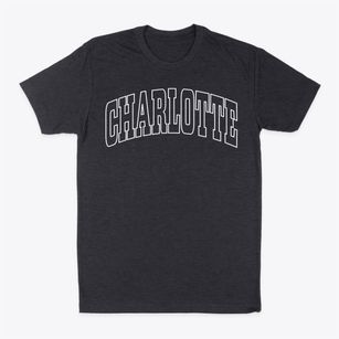 Charlotte Michigan Trendy Block Classic Dad T-Shirt