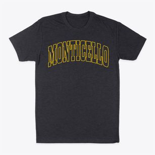 Monticello New York Trendy Block Classic Dad T-Shirt