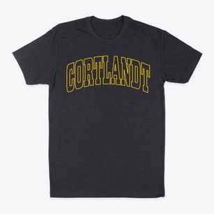 Cortlandt New York Trendy Block Classic Dad T-Shirt