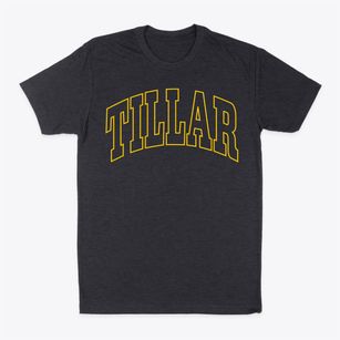Tillar Arkansas Trendy Block Classic Dad T-Shirt