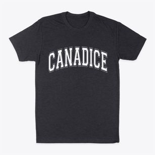 Canadice New York Varsity Classic Dad T-Shirt