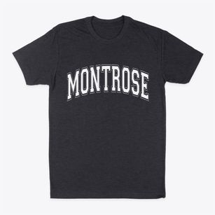 Montrose Michigan Varsity Classic Dad T-Shirt