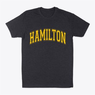 Hamilton Wisconsin Varsity Classic Dad T-Shirt