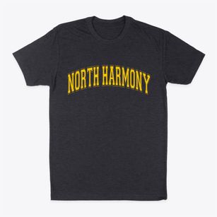 North Harmony New York Varsity Classic Dad T-Shirt