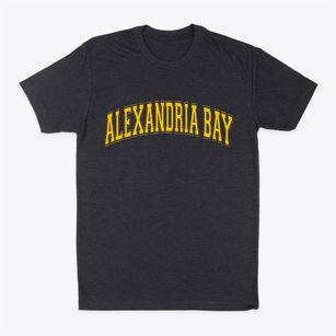Alexandria Bay New York Varsity Classic Dad T-Shirt