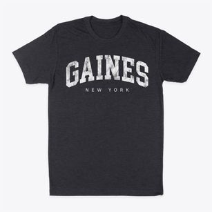 Gaines New York Urban Vibe Classic Dad T-Shirt