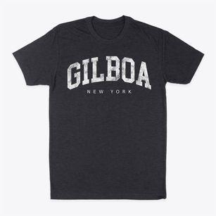 Gilboa New York Urban Vibe Classic Dad T-Shirt