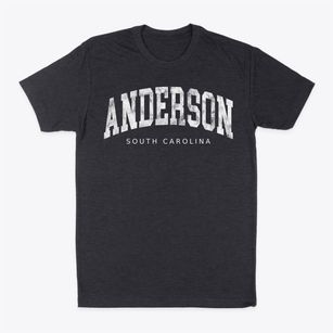 Anderson South Carolina Urban Vibe Classic Dad T-Shirt