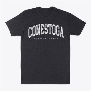Conestoga Pennsylvania Urban Vibe Classic Dad T-Shirt
