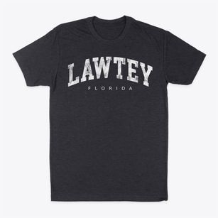 Lawtey Florida Urban Vibe Classic Dad T-Shirt
