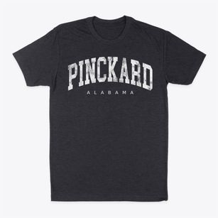 Pinckard Alabama Urban Vibe Classic Dad T-Shirt