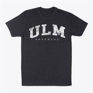 Ulm Arkansas Urban Vibe Classic Dad T-Shirt
