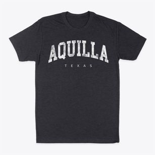 Aquilla Texas Urban Vibe Classic Dad T-Shirt