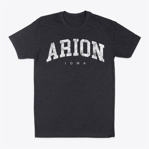 Arion Iowa Urban Vibe Classic Dad T-Shirt