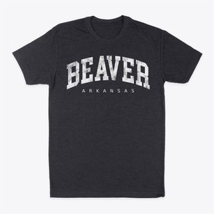 Beaver Arkansas Urban Vibe Classic Dad T-Shirt