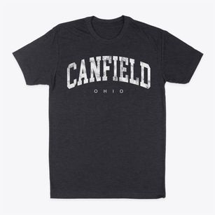 Canfield Ohio Urban Vibe Classic Dad T-Shirt