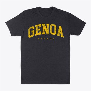 Genoa Nevada Urban Vibe Classic Dad T-Shirt
