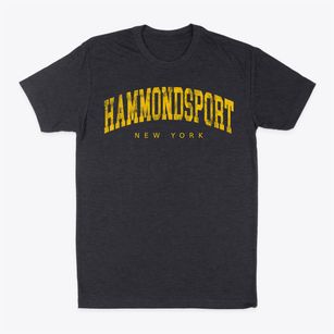 Hammondsport New York Urban Vibe Classic Dad T-Shirt