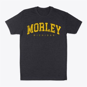 Morley Michigan Urban Vibe Classic Dad T-Shirt