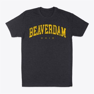 Beaverdam Ohio Urban Vibe Classic Dad T-Shirt