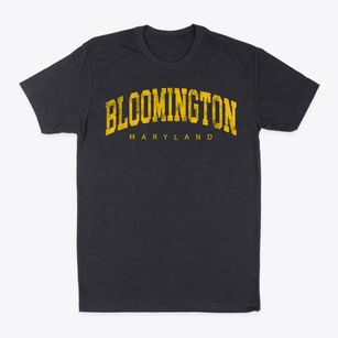 Bloomington Maryland Urban Vibe Classic Dad T-Shirt