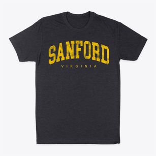 Sanford Virginia Urban Vibe Classic Dad T-Shirt