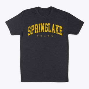 Springlake Texas Urban Vibe Classic Dad T-Shirt