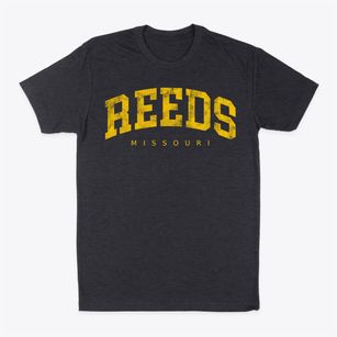 Reeds Missouri Urban Vibe Classic Dad T-Shirt