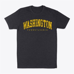 Washington Pennsylvania Urban Vibe Classic Dad T-Shirt