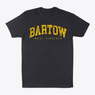 Bartow West Virginia Urban Vibe Classic Dad T-Shirt