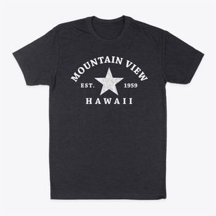 Mountain View Hawaii Star Classic Dad T-Shirt