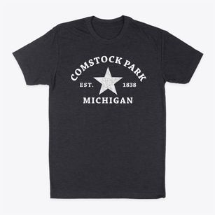Comstock Park Michigan Star Classic Dad T-Shirt