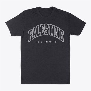 Palestine Illinois Inline Classic Dad T-Shirt