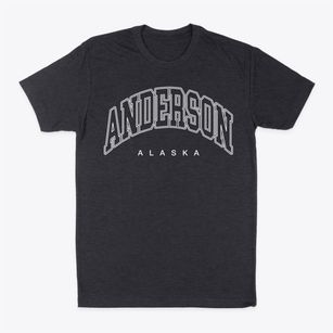Anderson Alaska Inline Classic Dad T-Shirt