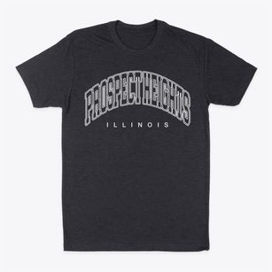 Prospect Heights Illinois Inline Classic Dad T-Shirt