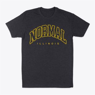 Normal Illinois Inline Classic Dad T-Shirt